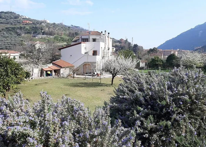La Shamba Relax And Nature Appartamento *